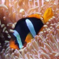 Img_0405_normal