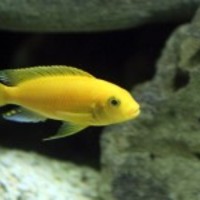 1-12576921536v4u_normal