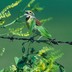 profile_photo
