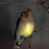 profile_photo