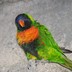 profile_photo