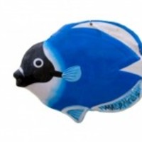 Colorful-fish-1371584549yr2_normal