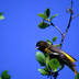 profile_photo