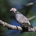 profile_photo