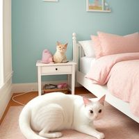 An_illustration_of_a_white_cat_3_normal