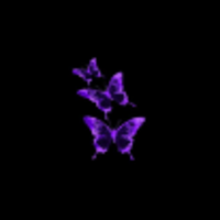 Screenshot_2024-09-19_10