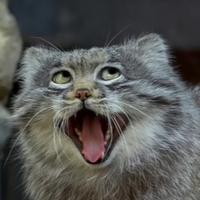 Profilepicturephoto_normal