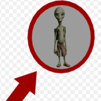 Screenshot_2025-11-17_144251_normal